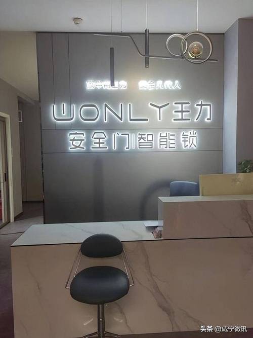 匠心独运，王力安防